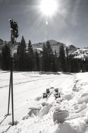 Ski Break